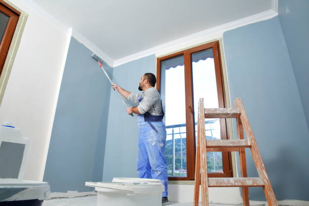 Best Mold Prevention Services  in Silver Spring, MD