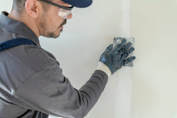 Mold Removal for HVAC Installations in Silver Spring, MD