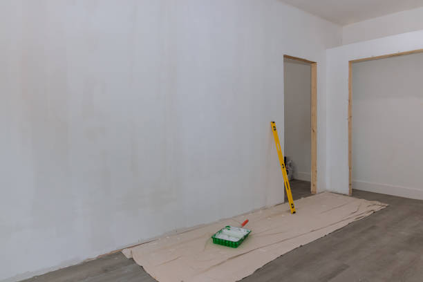 Best Mold Damage Restoration  in Silver Spring, MD