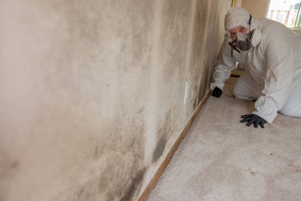 Best Airborne Mold Testing  in Silver Spring, MD