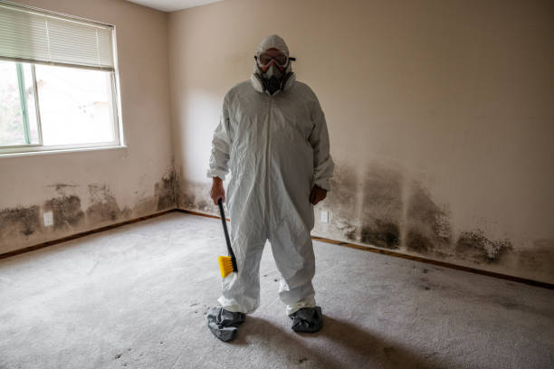 Best Comprehensive Air Testing for Mold Contaminants  in Silver Spring, MD