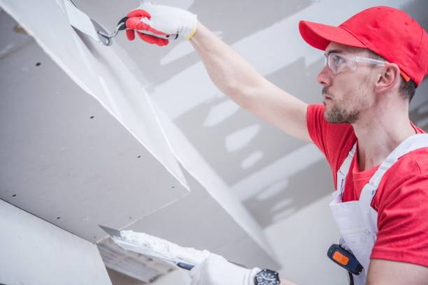 Best Forensic Mold Investigation  in Silver Spring, MD